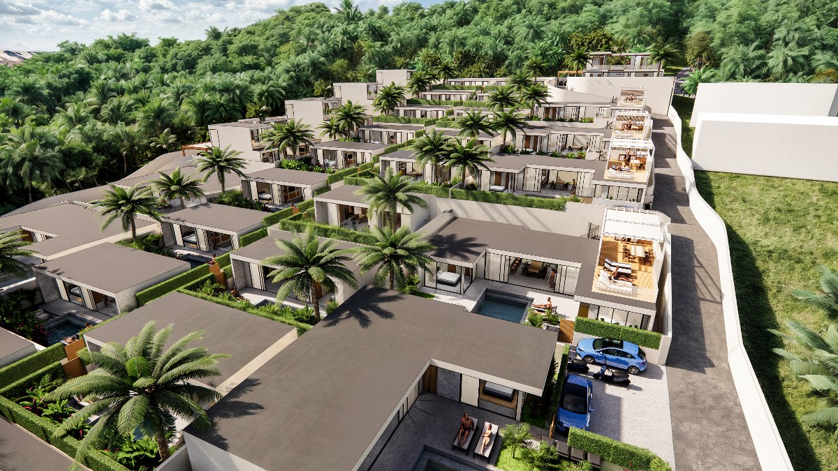 Oasis Harmony Life 5